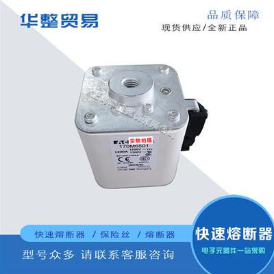 巴斯曼全新原装快速熔断器保险丝170M6503
