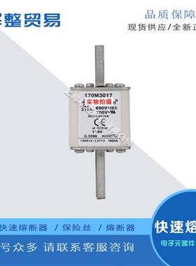 巴斯曼全新原装熔断器保险丝170M3014 170M3015 170M3016