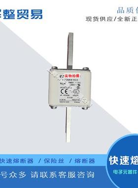 巴斯曼全新原装正品熔断器保险丝170M4162 170M4163