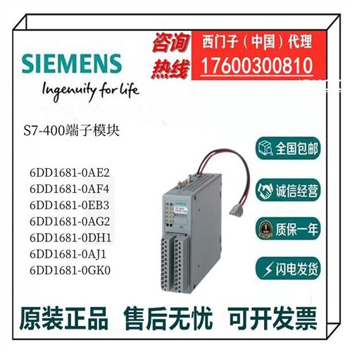 S7-400端子模块6DD1681-0AE2/0AF4/0EB3/0AG2/0DH1/0AJ1/0GK0议价