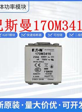 170M3415 170M3416 170M3418 170M3420巴斯曼熔断器