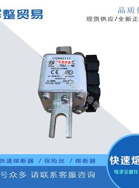 巴斯曼快速熔断器170M3117 170M3118 170M3119 170M3120 170M3121