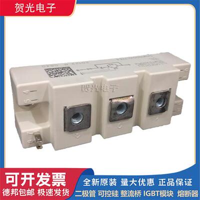 西门康IGBT模块SKM100GAL12T4/SKM100GAL17E4可控硅模块