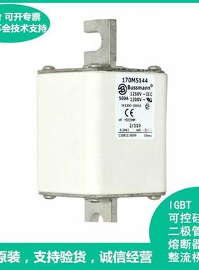 美国伊顿Bussmann快速熔断器170M5144 170M5143
