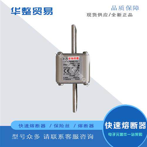巴斯曼快速熔断器170M4662 170M4663 170M4664 170M4665