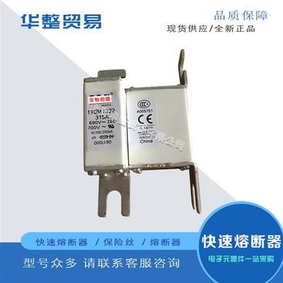 巴斯曼全新原装快速熔断器保险丝170M1319 170M1320 170M1321 170