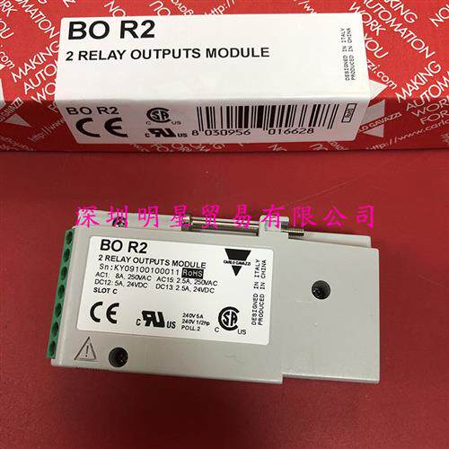 BOR2瑞士盘矩仪表原装正品假一罚十盘矩仪表传感器