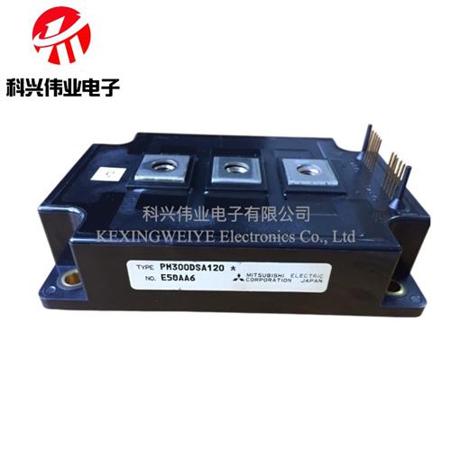 PM300DVAA120 PM300DVA120 PM200DVA120 PM300DSA120 PM600DSA060