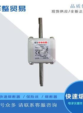 巴斯曼全新原装正品快速熔断器保险丝 170M4197