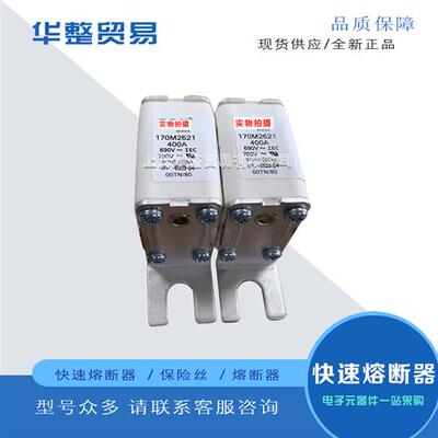 巴斯曼全新原装正品熔断器保险丝170M2612 170M2613