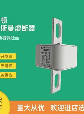 全新快速熔断器保险170M6215 170M6216 170M6217 170M6218