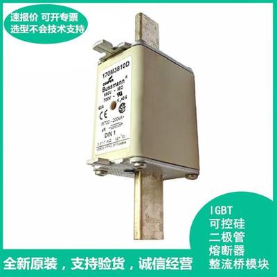 全新原装进口Bussmann保险丝 170M3810D 10A 690V~700V快断熔断器