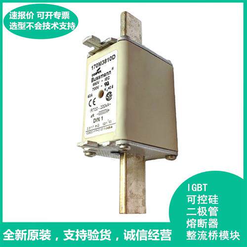 全新原装进口Bussmann保险丝 170M3810D 10A 690V~700V快断熔断器