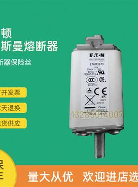 全新快速熔断器保险170M2619 170M2620 170M2621 170M2657