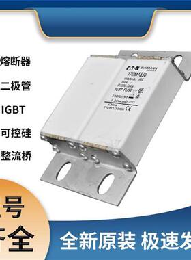 巴斯曼170M1830 熔断器 保险丝 极速发货 现货可直拍