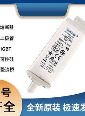 巴斯曼170M1566 快速熔断器 极速发货 现货可直拍