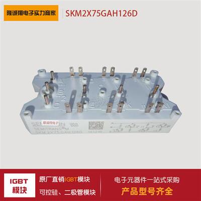 全新电源IGBT模块SKM2X75GAH126D SKD75GAL123D SKD100GAL123D