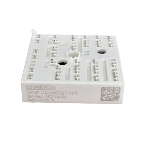 SKIIP24NAB12T4V1 SKIIP24NAB126V1 SKIIP21NEB063T1 - 实物图