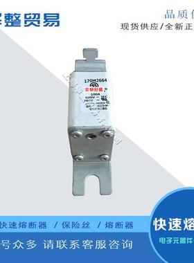 巴斯曼全新原装正品快速熔断器保险丝170M2662 170M2663