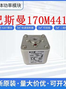 伊顿熔断器 保险丝170M4416  170M4417 170M4458 170M4459巴斯曼