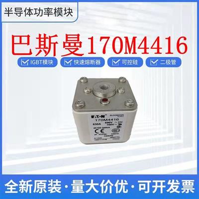 伊顿熔断器 保险丝170M4416  170M4417 170M4458 170M4459巴斯曼