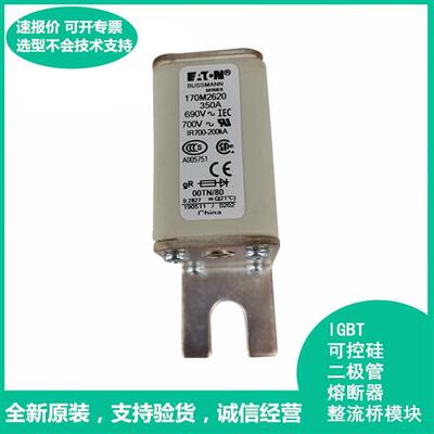 170M2620美国Bussmann170M2620快速熔断器保险丝全新