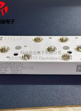 SKIIP83AC12IT46 SKIIP83AC12IT1 SKiIP82AC121T1SKIIP82AC12IT1