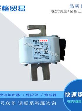 巴斯曼全新正品原装快速熔断器保险丝 170M6120