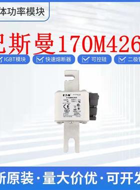 170M4265 170M4266 170M4267 170M4393巴斯曼熔断器保险丝