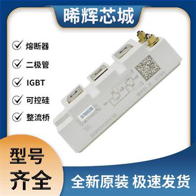 SKM100GB063D IGBT 可控硅 晶闸管模块 极速发货 现货可直拍