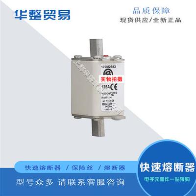 巴斯曼全新正品原装快速熔断器保险丝170M2685