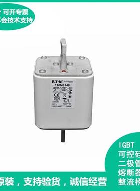 全新熔芯170M3115 170M3116 170M3117 170M3118快速熔断器