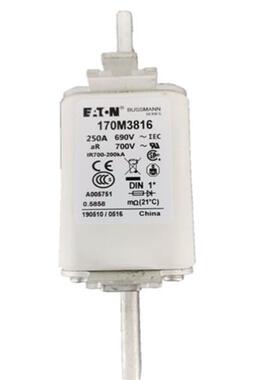 170M6265 /6266/6267/6268/6269/6270/6271 巴斯曼熔断器现货直销