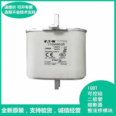 170M6643 170M8647 170M6203 170M1309 170M1310 170M1322