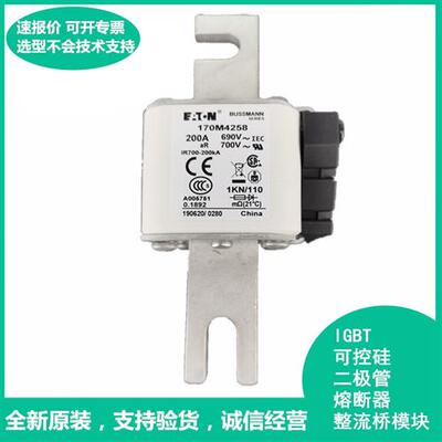 170M4258美国Bussmann170M4258快速熔断器保险丝