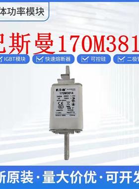 欢迎询价 170M3814 170M3815 170M3816 170M3817 巴斯曼熔断器