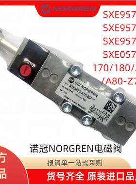 SXE9574/9573/9575-A70/A71/A75/A76/A80/A81-00电磁阀24VDC