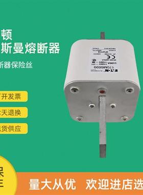 全新快速熔断器保险170M6691 170M6692 170M6693 170M6694