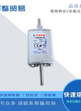 巴斯曼全新原装正品快速熔断器保险丝170M3812 170M3813