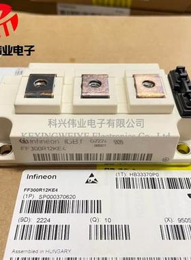 全新原装FF300R12KS4 FF300R12KE3 FF200R12KE4 FF450R12KT4