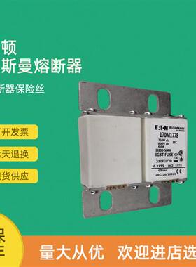 全新快速熔断器保险170M1777 170M1778 170M1779 170M1780