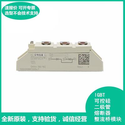 西门康SKKT106B/16E SKKT200/16E SKKT92B/12E全新整流二极管
