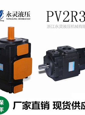 新款PV2R32-136/125F1/75/70/65/59/53/47永灵液压油泵双联叶现货