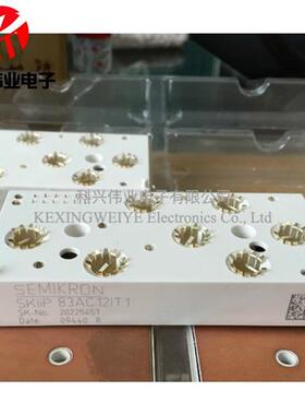 直拍SKIIP83AC12T4IT1 SKIIP82AC128IT1 SKIIP83AC12IT1 SKIIP82A