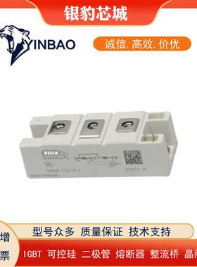 议价SKKT57/106/132/162/172/273/330/430/460/570/16E/18E可控硅