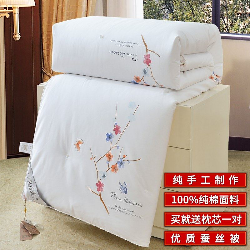 正品桐乡蚕丝被100%桑蚕丝全棉春秋被夏凉空调被芯加厚保暖冬被子,床上用品,蚕丝被,淘宝优惠券,粉丝福利购,淘宝优惠卷