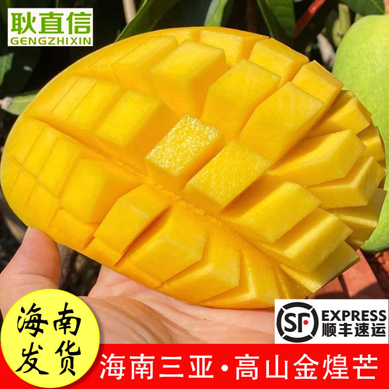 【顺丰包邮 】海南三亚热带水果金煌芒果新鲜肉厚多汁香甜礼盒8斤