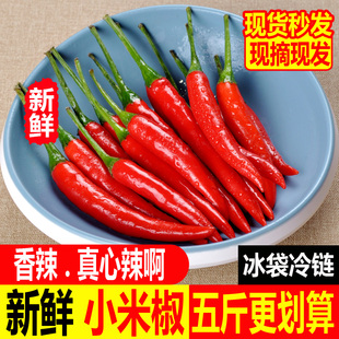 四川小米辣新鲜海椒朝天椒特辣红海椒现摘发货当季蔬菜半斤-5斤