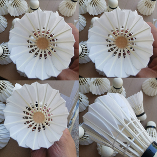 鹅毛羽毛球三级全圆直杆77速76速飞行稳定羽毛球耐打羽球对标亚U