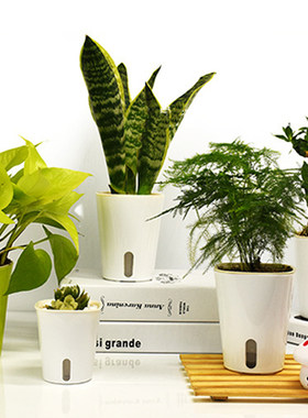 自动吸水塑料创意花盆食虫植物